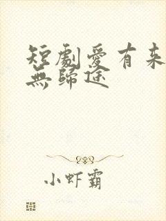 短剧爱有来路却无归途