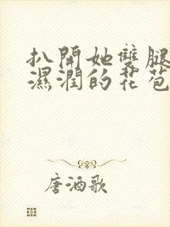 扒开她双腿挺进湿润的花苞