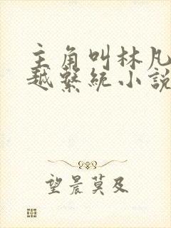 主角叫林凡的穿越系统小说