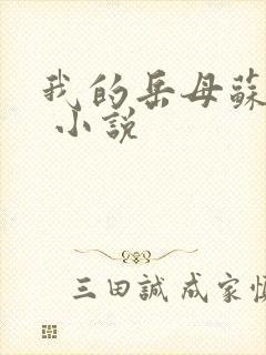 我的岳母苏沛真 小说封面