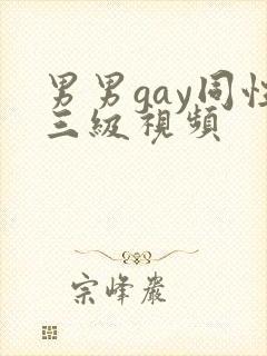 男男gay同性三级视频
