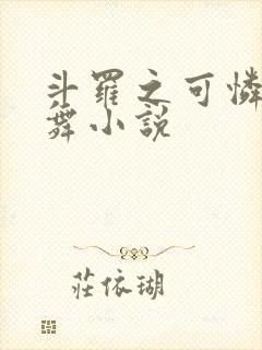 斗罗之可怜的小舞小说封面