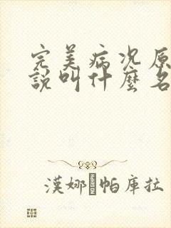 完美病况原著小说叫什么名字