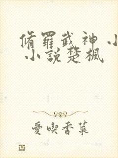 修罗武神 小说 小说楚枫