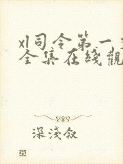 xl司令第一季全集在线观看完整版免费