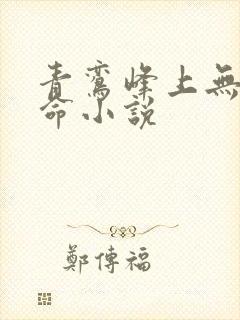 青鸾峰上无敌天命小说封面