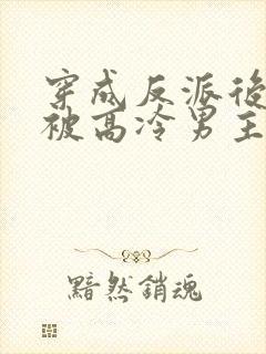 穿成反派后,我被高冷男主攻略了