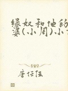 绿奴和他的骚老婆(小周)小说在线看