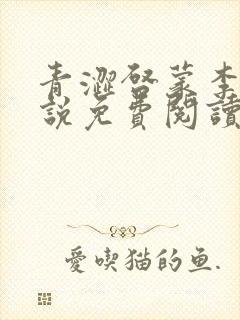 青涩启蒙李月小说免费阅读