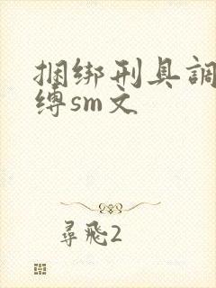 捆绑刑具调教束缚sm文