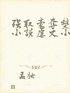 强取豪夺双男主小说虐文小说推荐