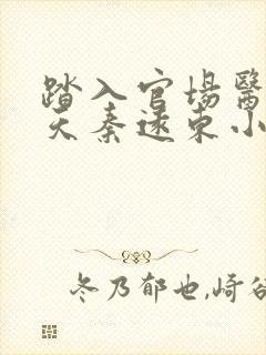 踏入官场医道问天秦远东小说最新章节