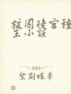 校园后宫种马女主小说封面