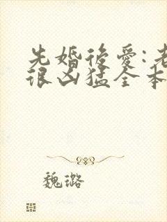 先婚后爱:老公很凶猛全本下载txt