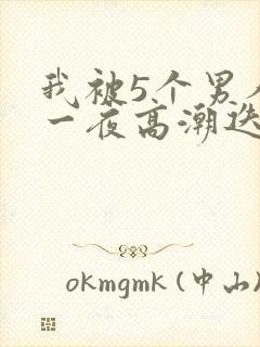 我被5个男人躁一夜高潮迭起