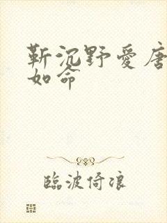 靳沉野爱唐栖雾如命