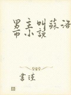 男主叫苏洛的都市小说