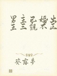 男主已婚出轨女主三观不正小说