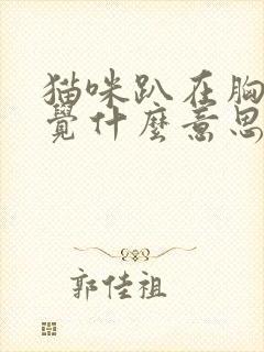 猫咪趴在胸口睡觉什么意思