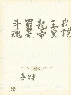 斗罗龙王我的武魂是帝皇铠甲笔趣阁封面