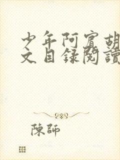 少年阿宾胡太全文目录阅读在线封面