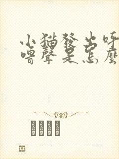 小猫发出呼噜呼噜声是怎么回事?