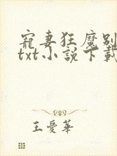 宠妻狂魔别太坏txt小说下载封面