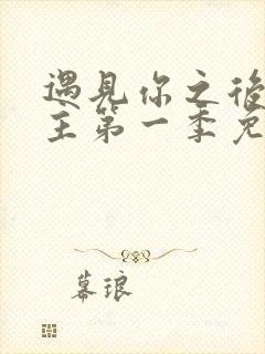 遇见你之后双男主第一季免费观看