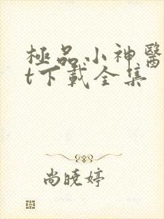 极品小神医txt下载全集