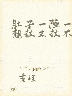 肚子一阵一阵痛想拉又拉不出来什么原因