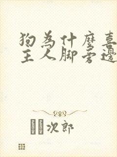 狗为什么喜欢睡主人脚旁边