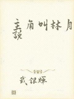 主角叫林月的小说