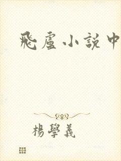 飞卢小说中文网