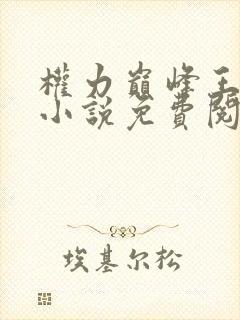 权力巅峰王洪涛小说免费阅读全本封面