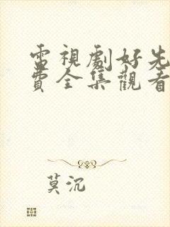 电视剧好先生免费全集观看高清封面