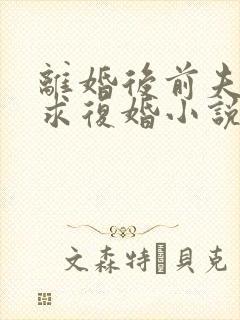 离婚后前夫哭着求复婚小说无弹窗封面