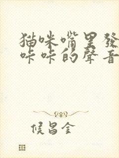 猫咪嘴里发出咔咔咔的声音封面