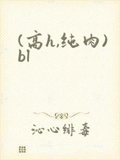 (高h,纯肉)bl