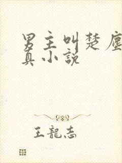 男主叫楚尘的修真小说