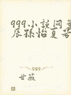 999小说网叶辰孙怡夏若雪