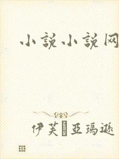 小说小说网飞卢封面