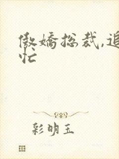 傲娇总裁,追妻忙