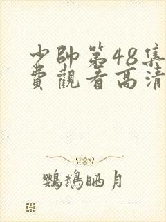 少帅第48集免费观看高清