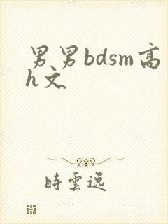 男男bdsm高h文