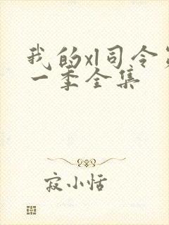 我的xl司令第一季全集封面