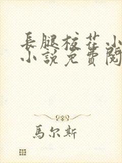 长腿校花小思卉小说免费阅读