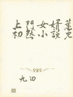 上门女婿叶辰萧初然小说免费