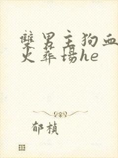 双男主狗血追妻火葬场he