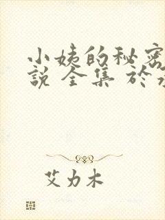 小姨的秘密 小说 全集 于承江 txt