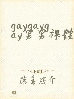 gaygaygay男男裸体